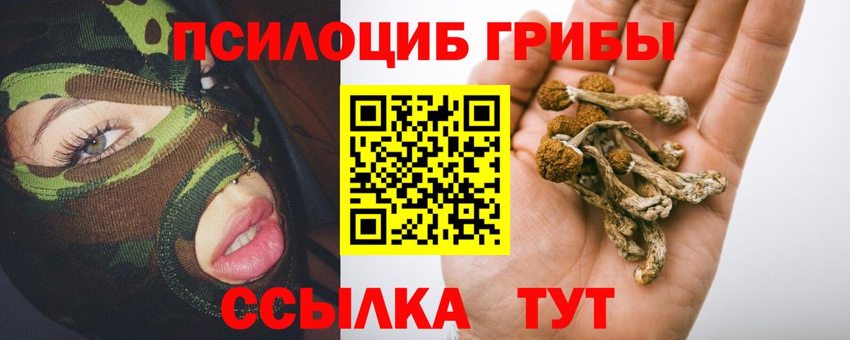 Псилоцибиновые грибы Psilocybe  Псилоцибиновые грибы Psilocybine cubensis  Вход с VPN  Кызыл 